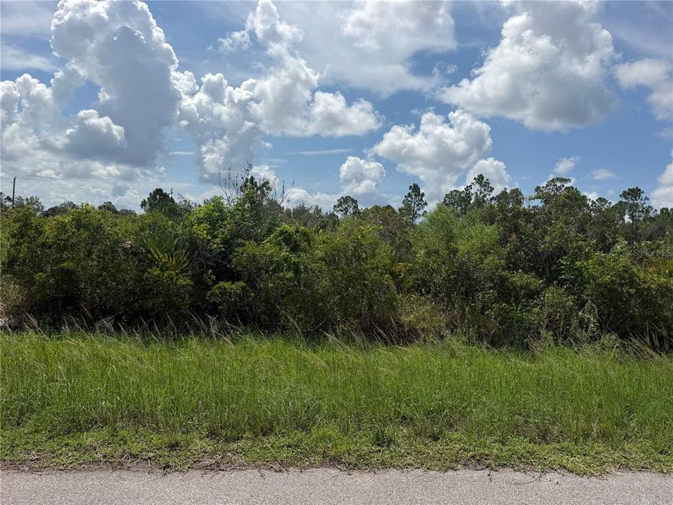 For Sale: $16,900 (0.23 acres)