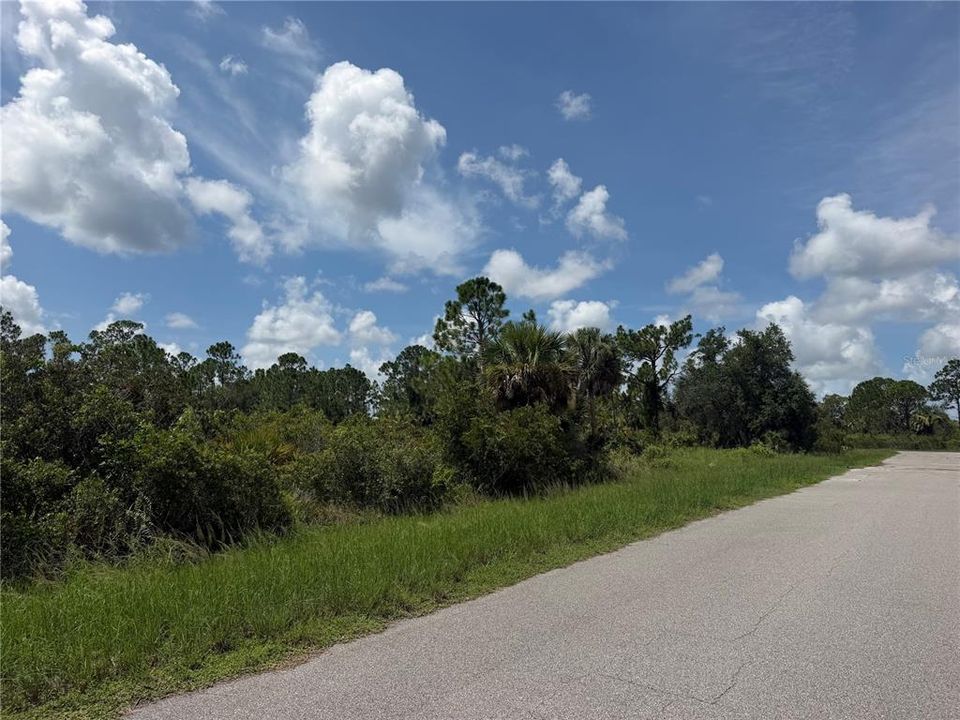 For Sale: $16,900 (0.23 acres)
