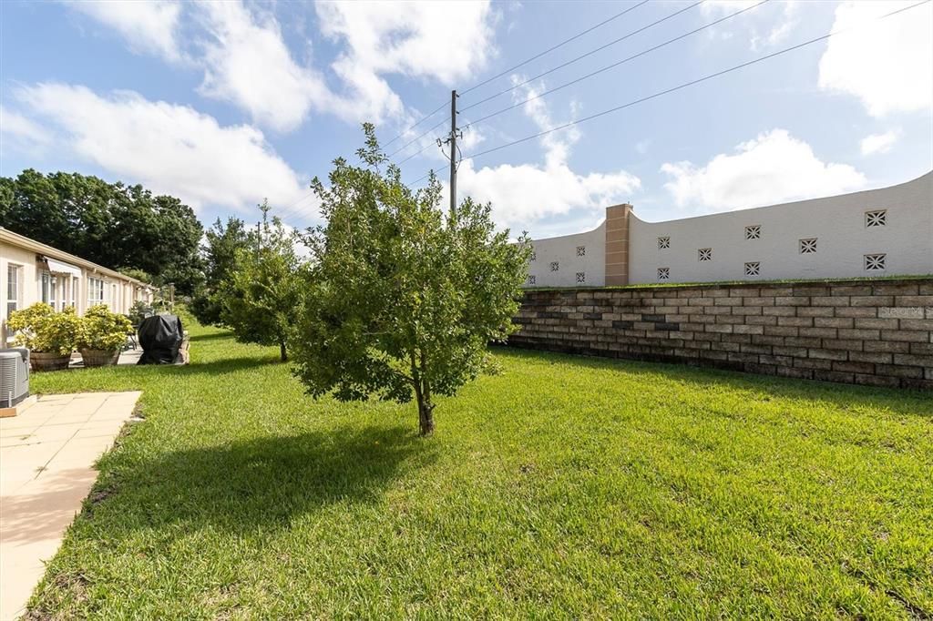 На продажу: $189,000 (2 спален, 2 ванн, 1353 Квадратных фут)