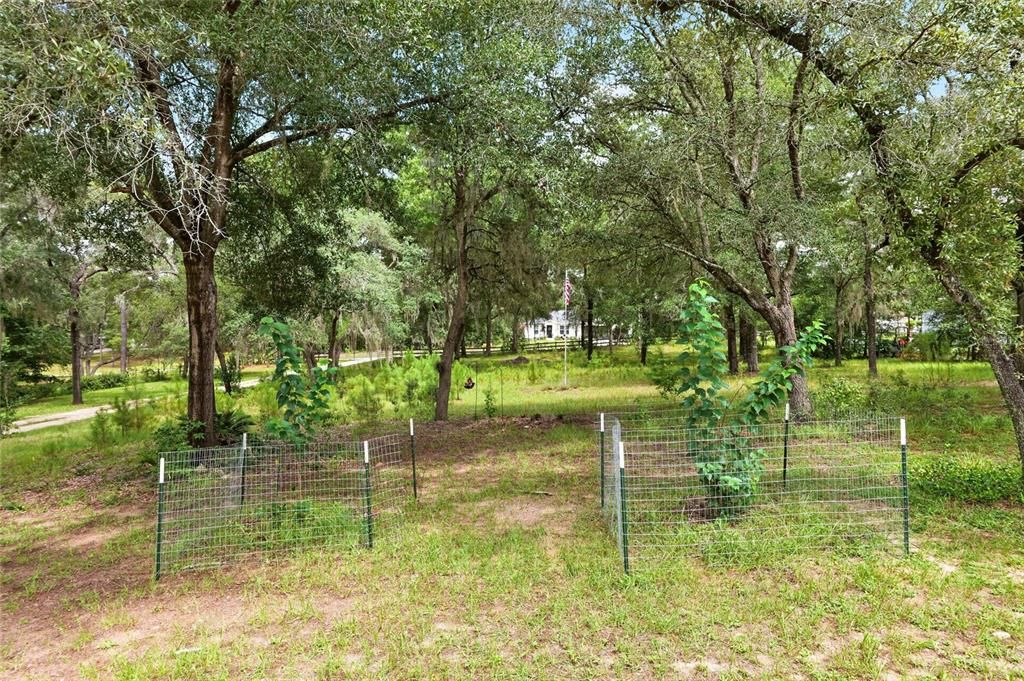 En Venta: $460,000 (4 camas, 2 baños, 2256 Pies cuadrados)