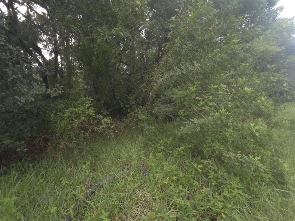На продажу: $23,000 (0.35 acres)
