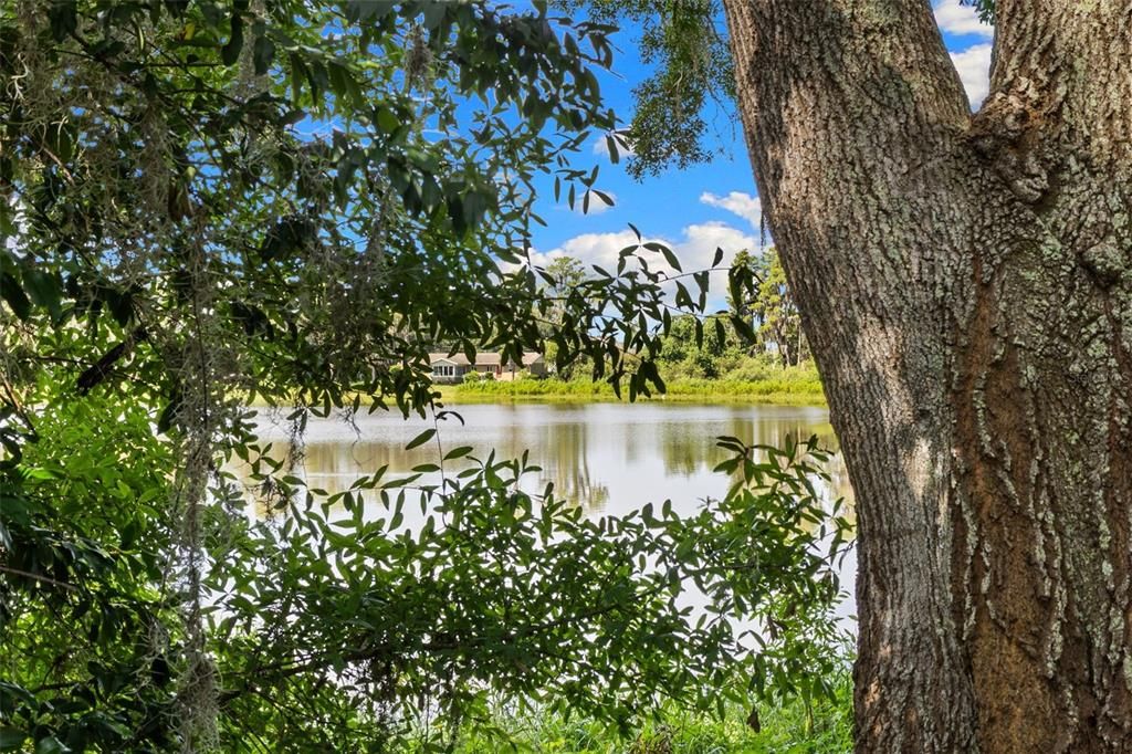 待售: $1,495,000 (5.01 acres)