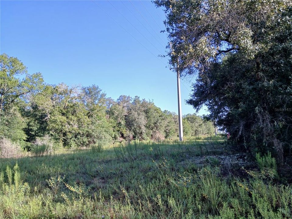 待售: $60,000 (0.75 acres)