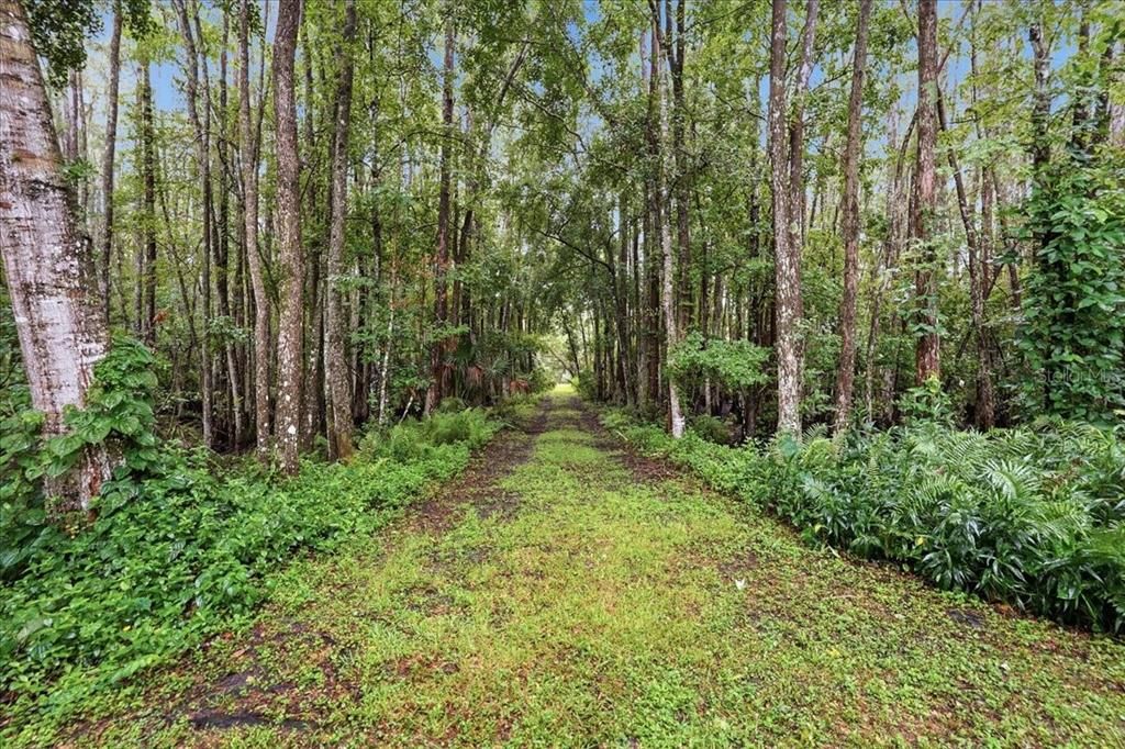 На продажу: $725,000 (4 спален, 2 ванн, 2006 Квадратных фут)