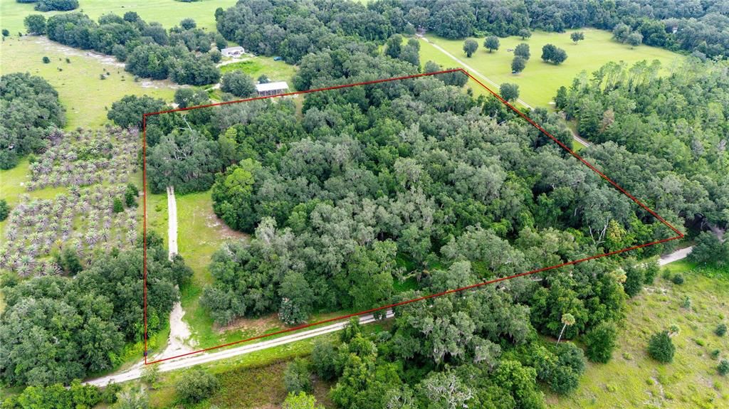 For Sale: $355,000 (10.06 acres)