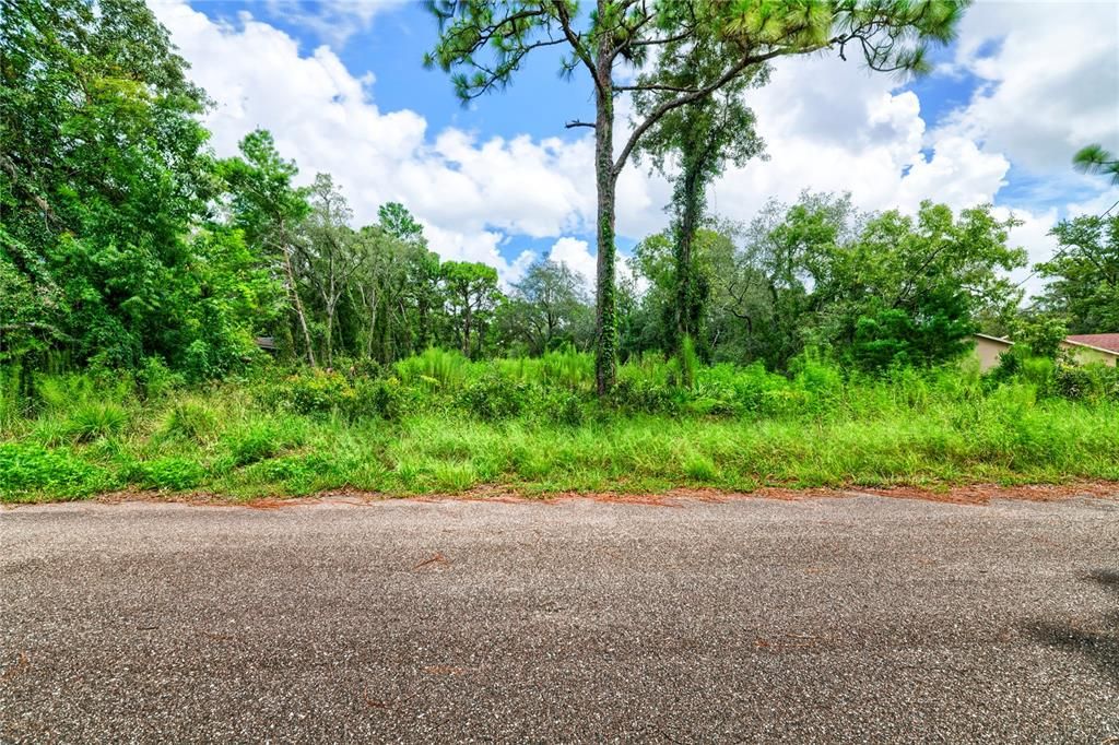 На продажу: $35,000 (0.34 acres)