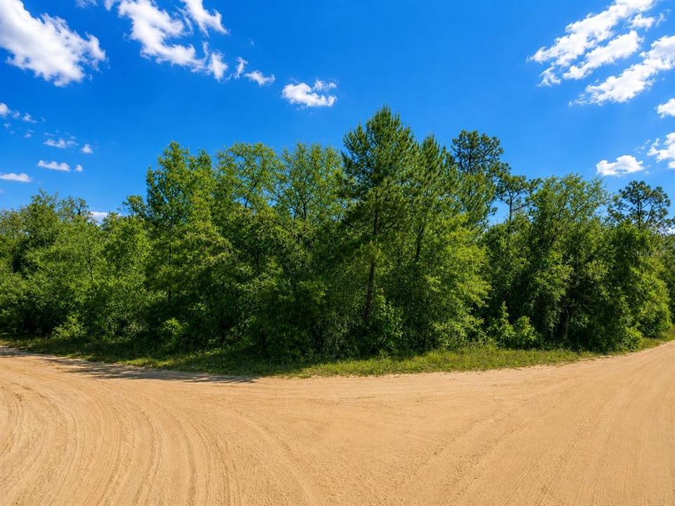 Недавно продано: $4,000 (0.23 acres)