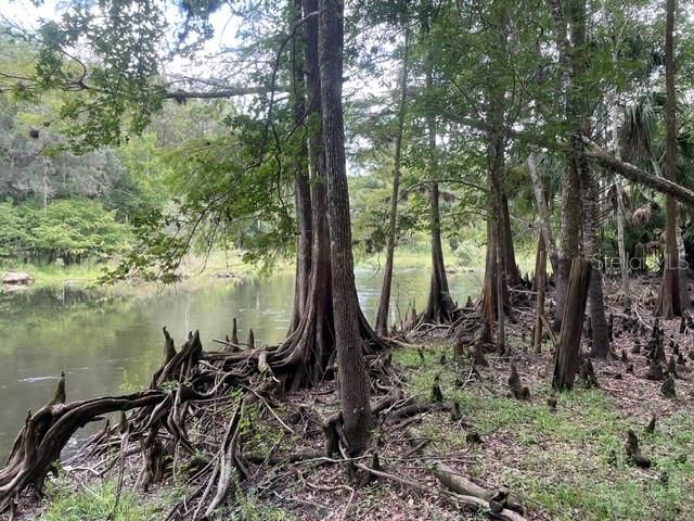待售: $96,777 (1.94 acres)