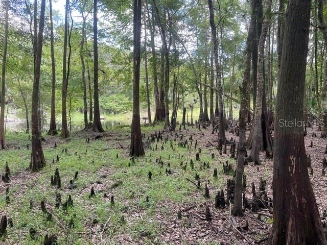 待售: $96,777 (1.94 acres)
