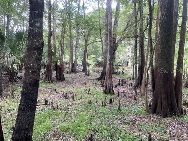 待售: $96,777 (1.94 acres)