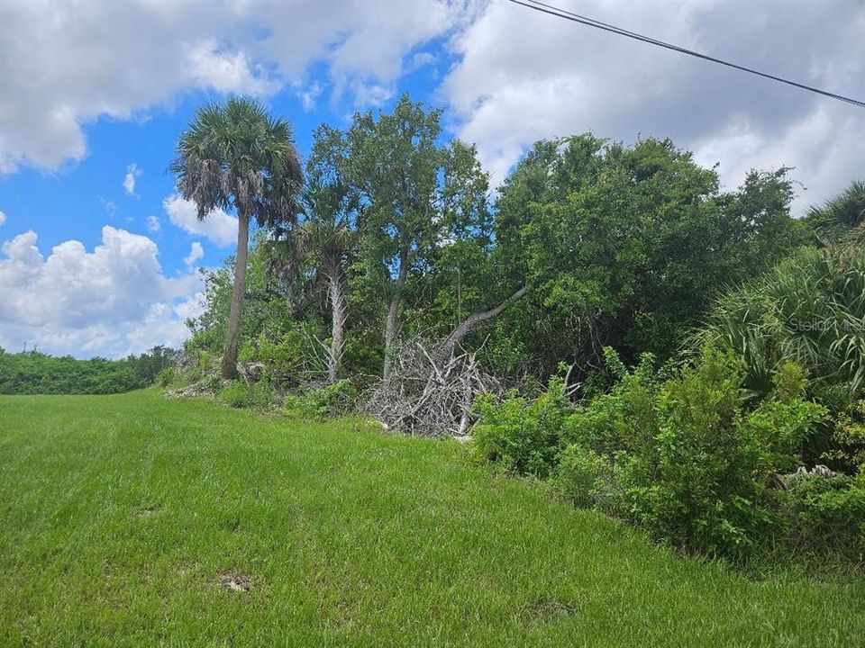 For Sale: $170,000 (0.23 acres)