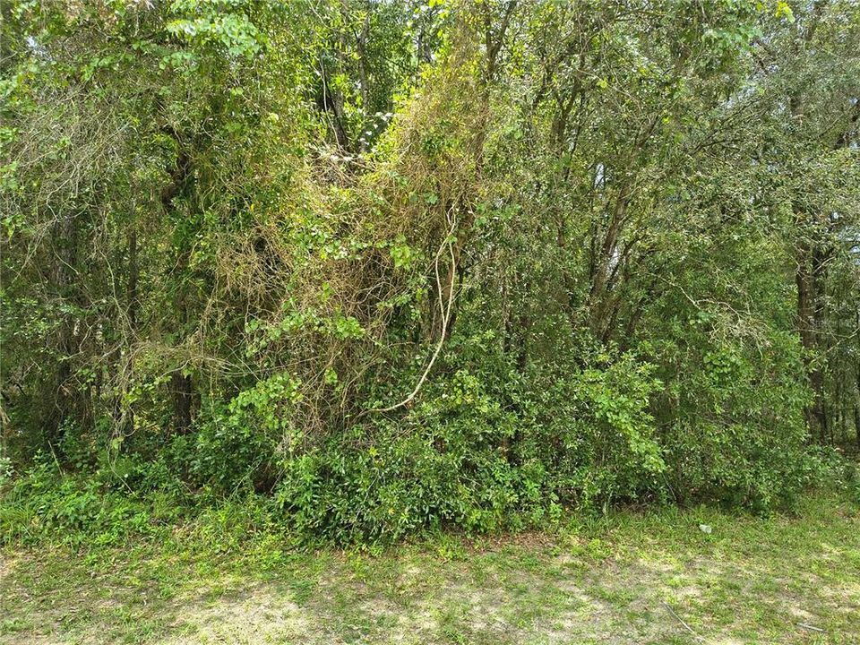 待售: $24,900 (0.23 acres)
