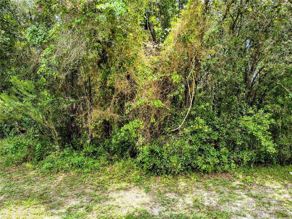 待售: $24,900 (0.23 acres)