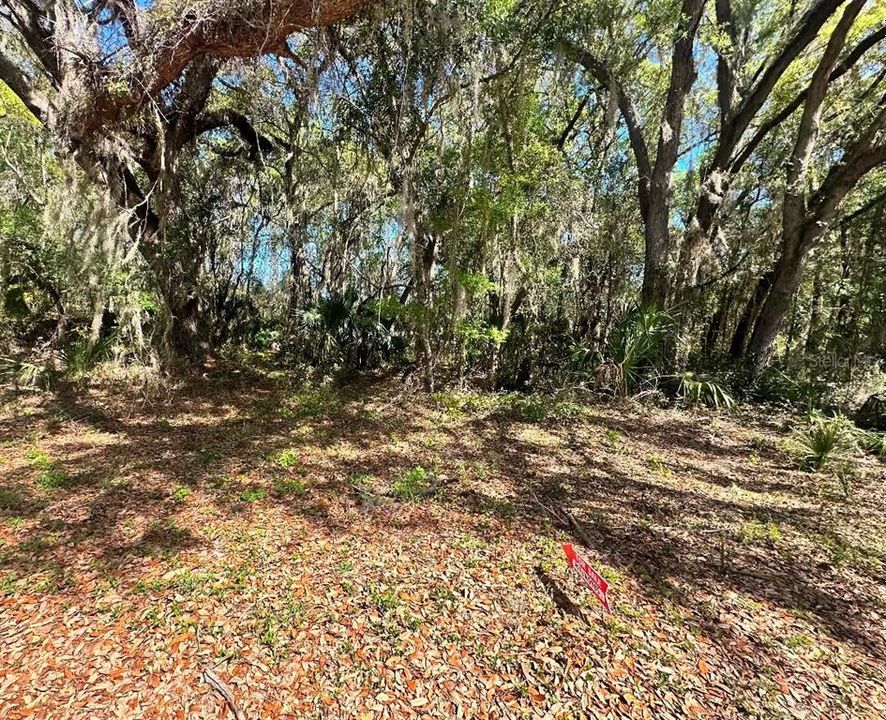 En Venta: $24,900 (0.30 acres)