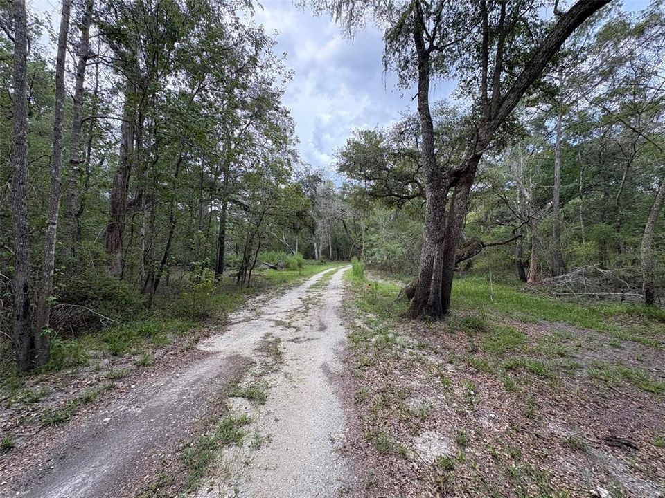 待售: $359,000 (4.22 acres)