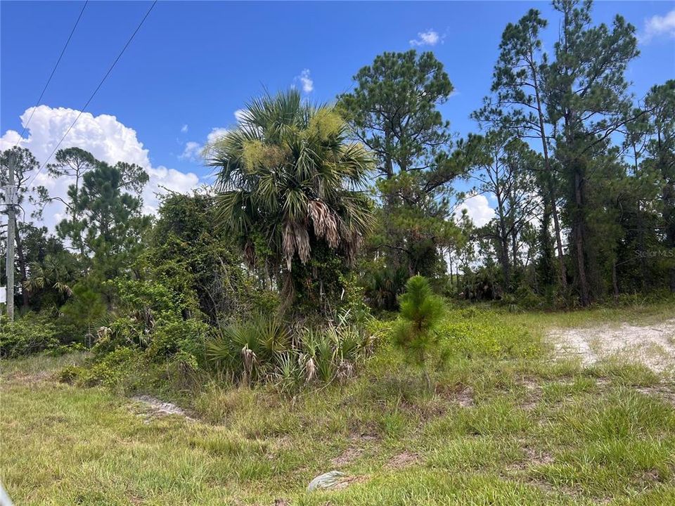 На продажу: $40,000 (0.33 acres)