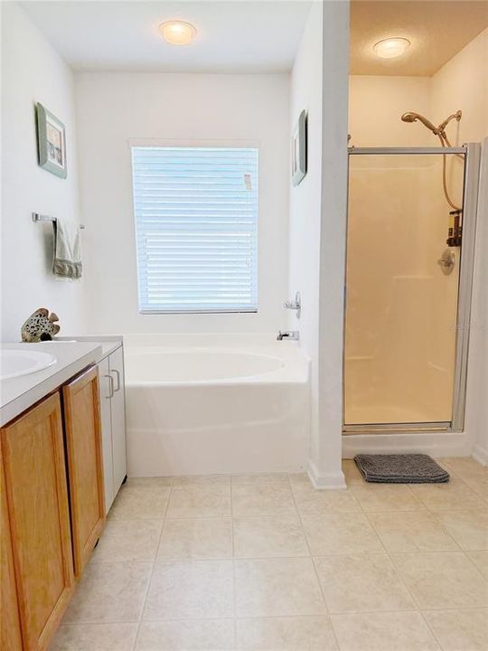 For Rent: $2,250 (3 beds, 2 baths, 1779 Square Feet)