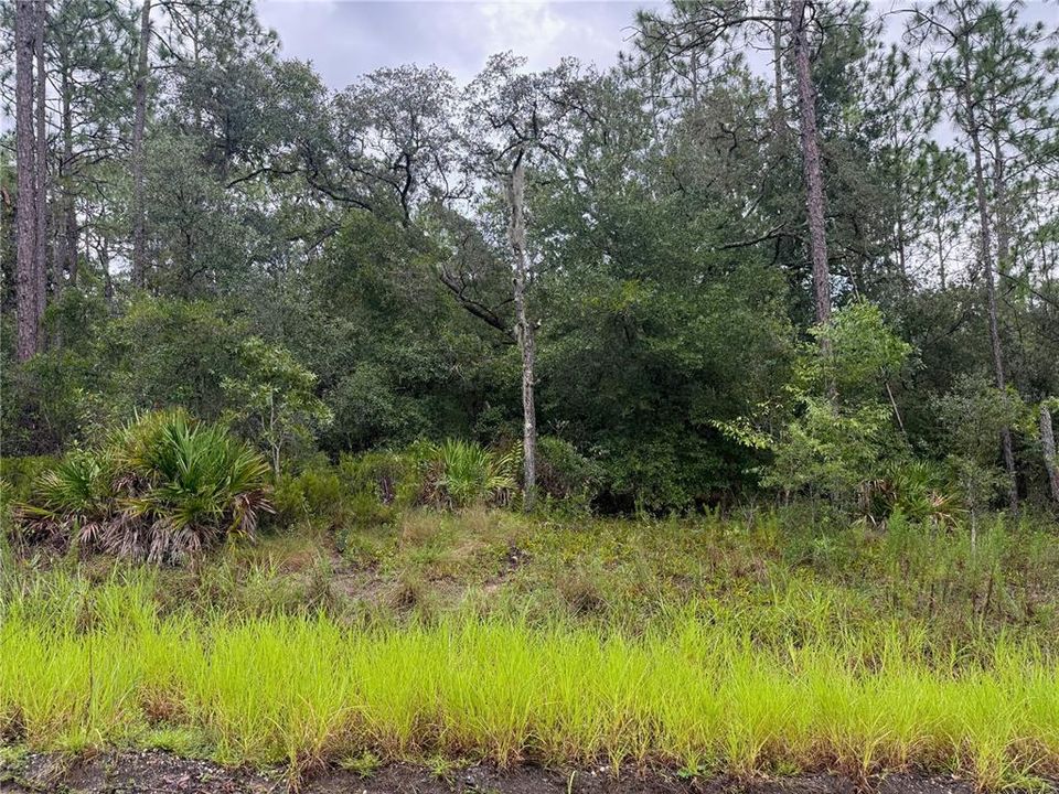 待售: $60,000 (1.70 acres)