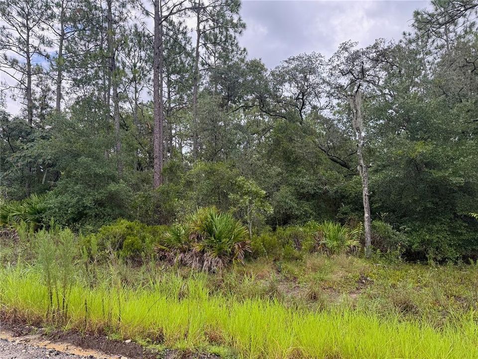 待售: $60,000 (1.70 acres)