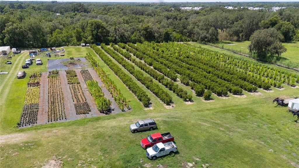 For Sale: $300,000 (5.51 acres)