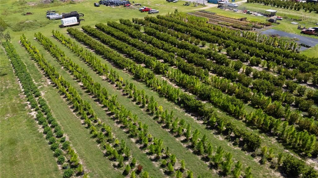 For Sale: $300,000 (5.51 acres)