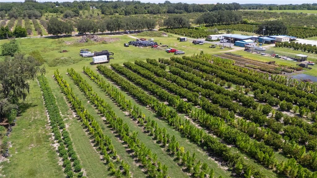 For Sale: $300,000 (5.51 acres)