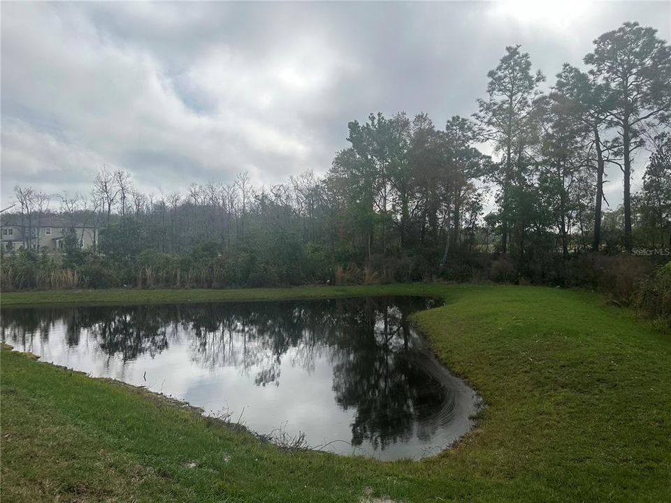 For Rent: $2,000 (3 beds, 2 baths, 1634 Square Feet)