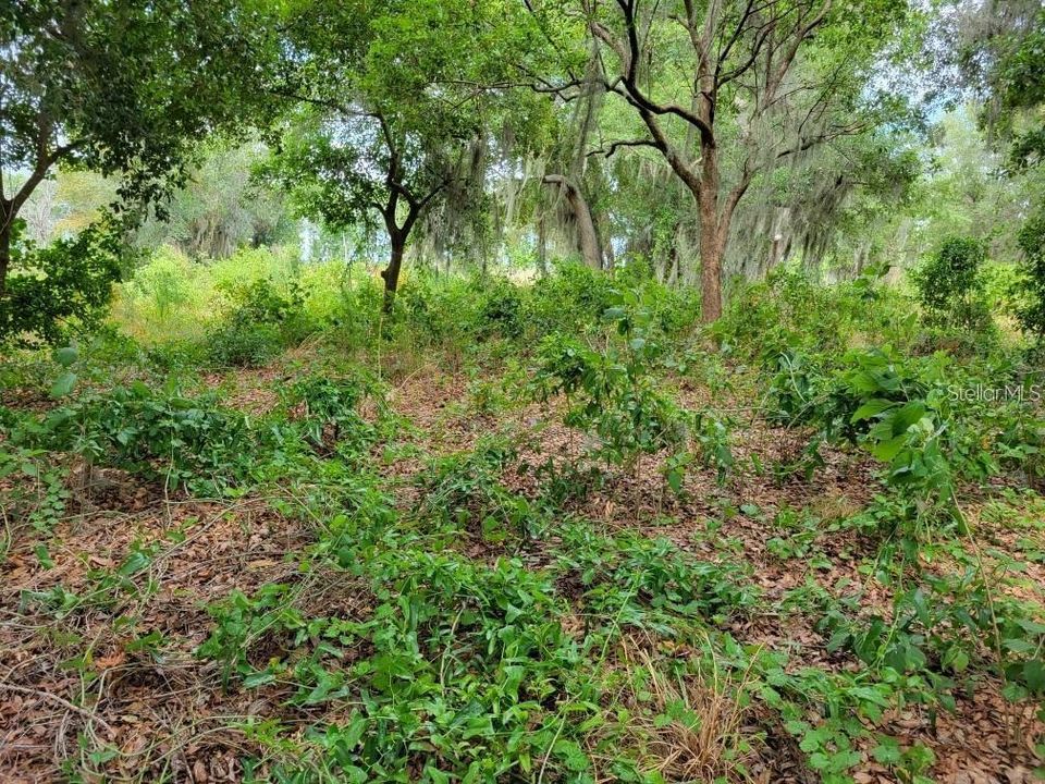 En Venta: $399,999 (0.95 acres)