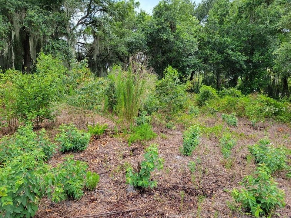 En Venta: $399,999 (0.95 acres)