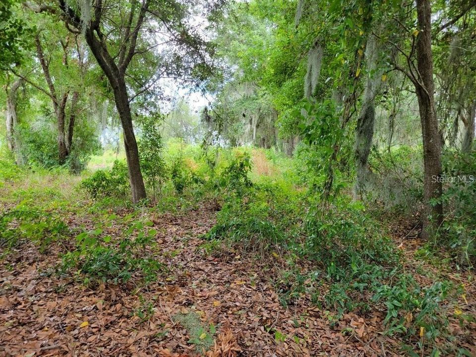 En Venta: $399,999 (0.95 acres)