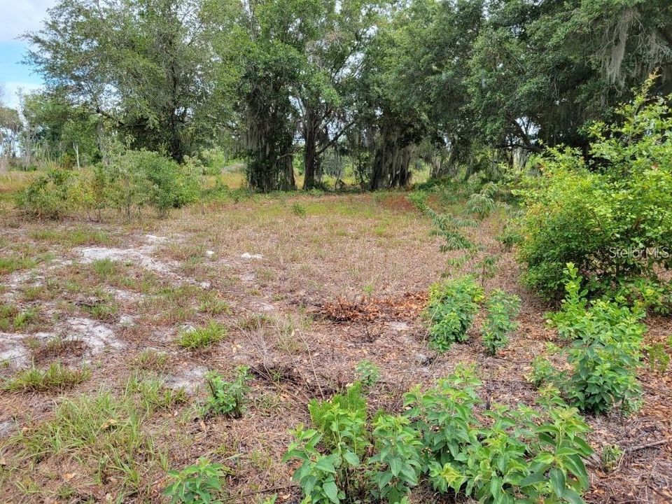 En Venta: $399,999 (0.95 acres)