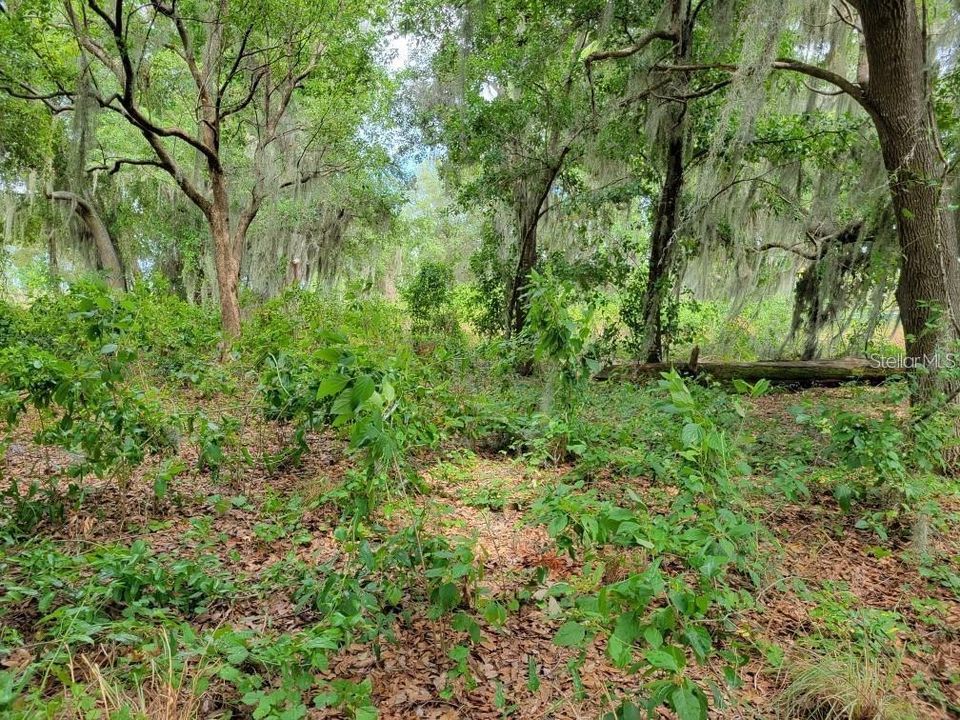 En Venta: $399,999 (0.95 acres)