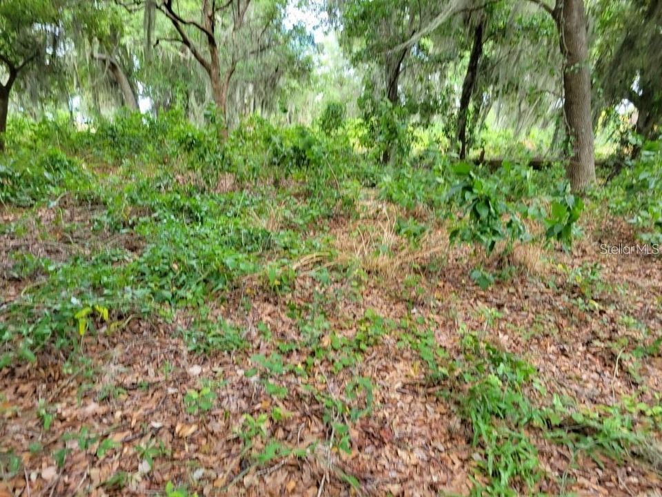 En Venta: $399,999 (0.95 acres)