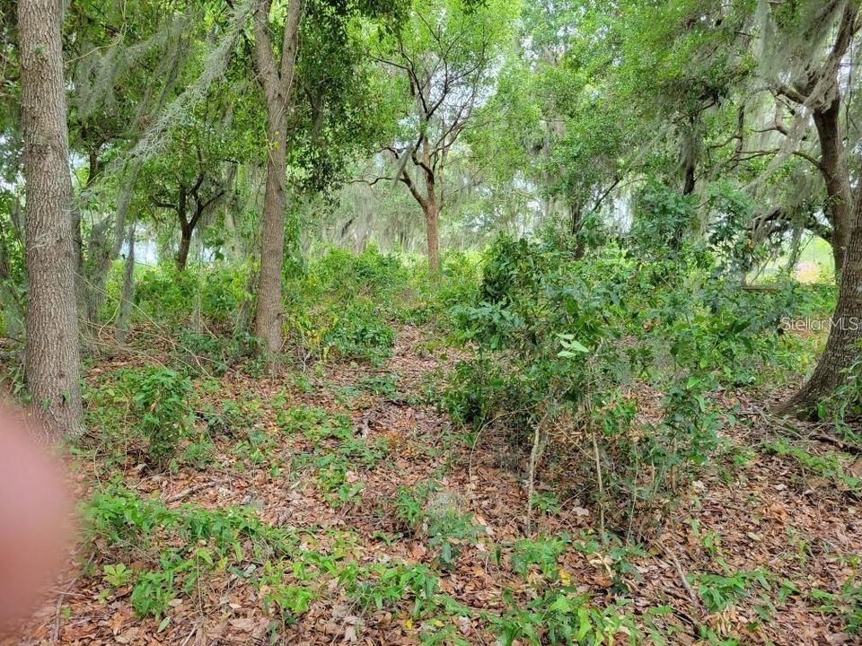 En Venta: $399,999 (0.95 acres)