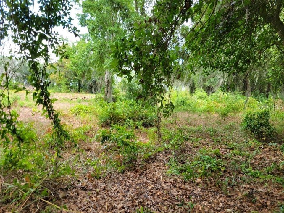 En Venta: $399,999 (0.95 acres)