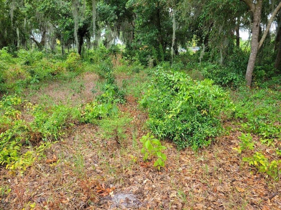 En Venta: $399,999 (0.95 acres)