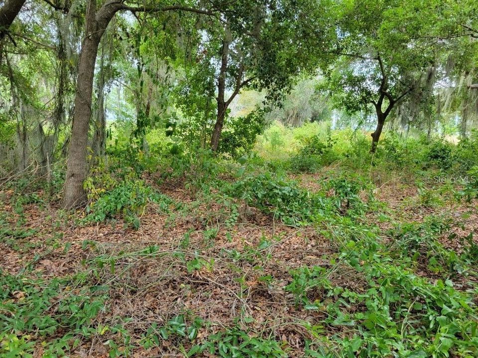 En Venta: $399,999 (0.95 acres)