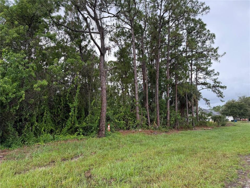 For Sale: $44,900 (0.23 acres)