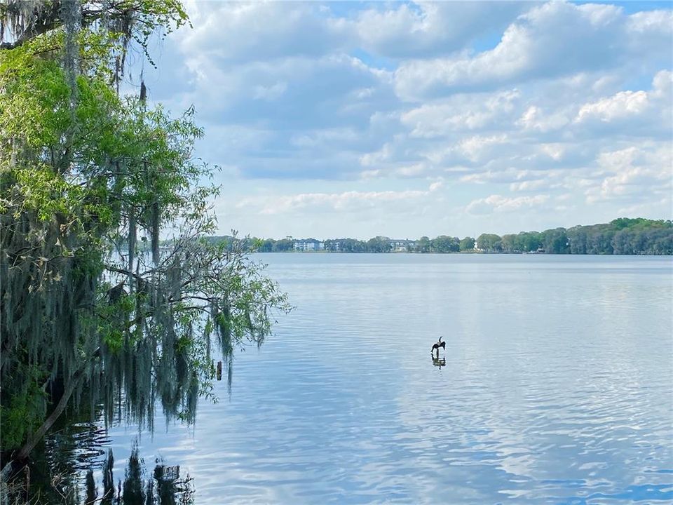 For Rent: $3,595 (4 beds, 3 baths, 2196 Square Feet)