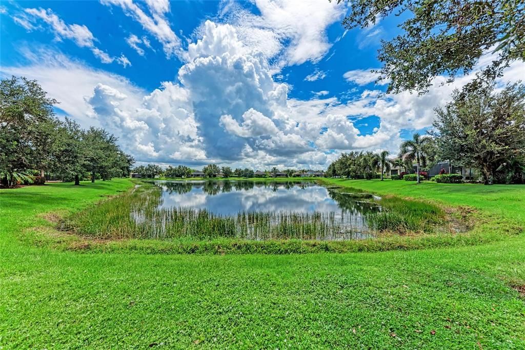 For Sale: $780,000 (5 beds, 4 baths, 3100 Square Feet)