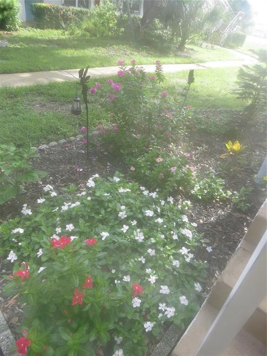 For Sale: $82,000 (1 beds, 1 baths, 520 Square Feet)