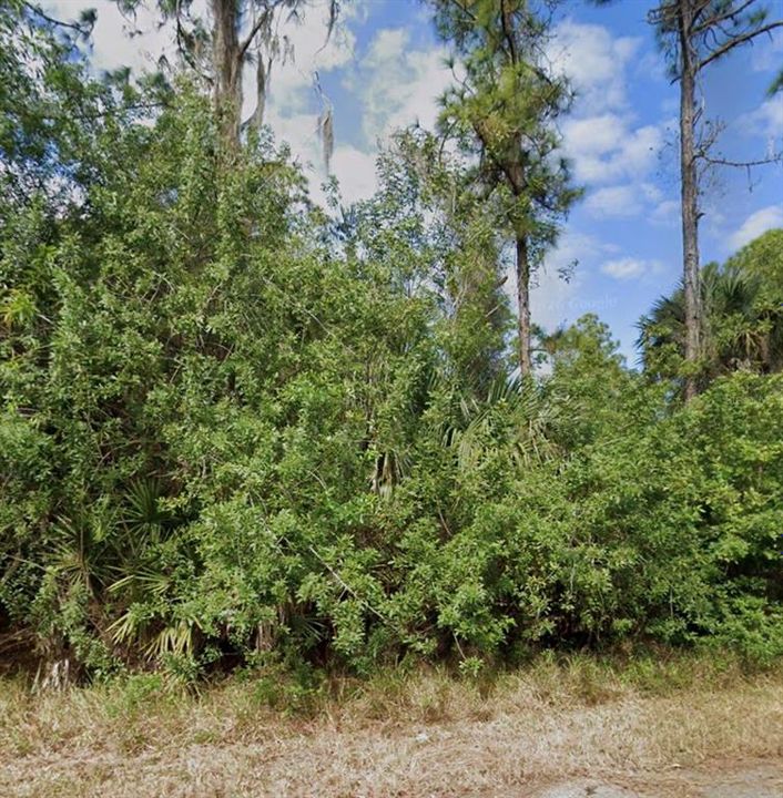 For Sale: $60,000 (0.26 acres)