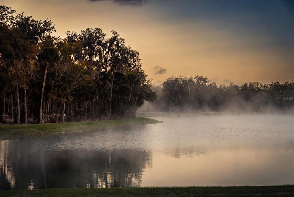 На продажу: $289,000 (0.34 acres)
