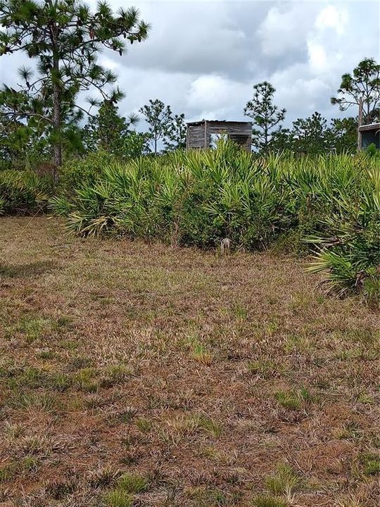 En Venta: $32,900 (0.31 acres)