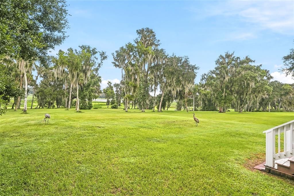 For Sale: $1,200,000 (4 beds, 2 baths, 2937 Square Feet)