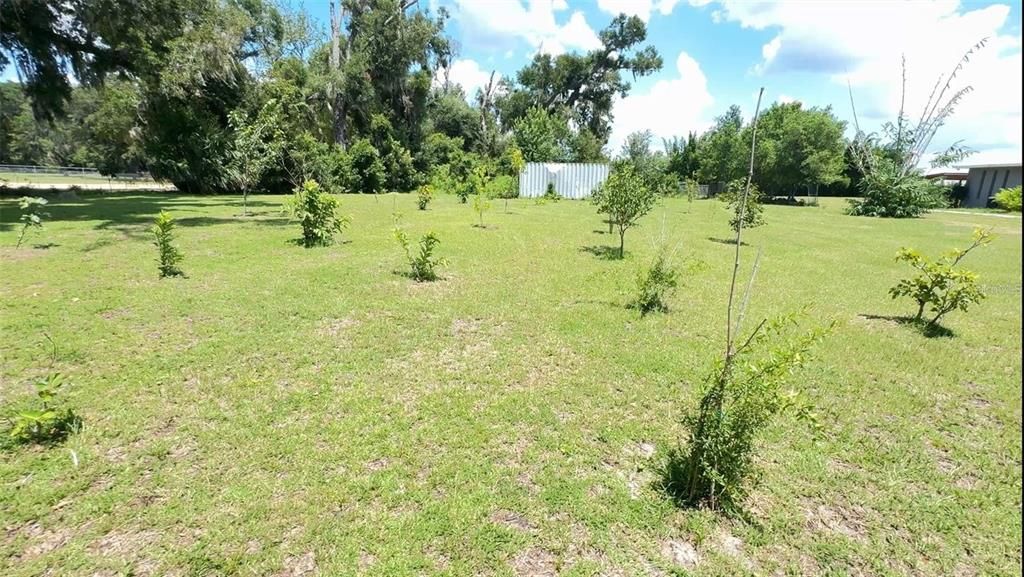 For Sale: $599,000 (5.38 acres)