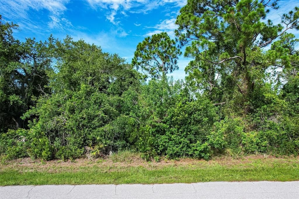 For Sale: $30,000 (0.23 acres)