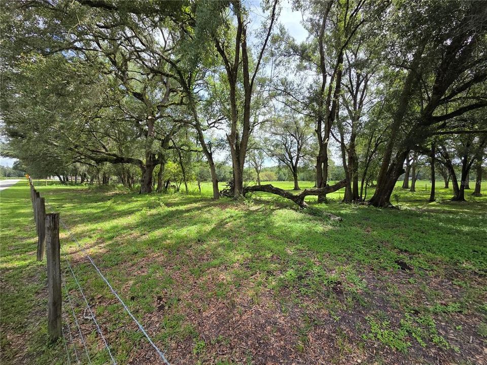 For Sale: $349,000 (14.25 acres)