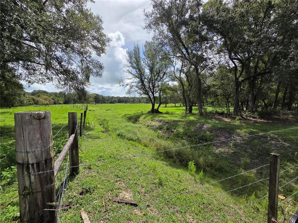 For Sale: $349,000 (14.25 acres)