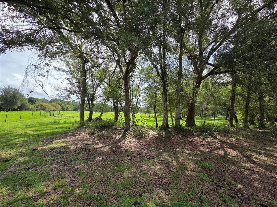 For Sale: $349,000 (14.25 acres)